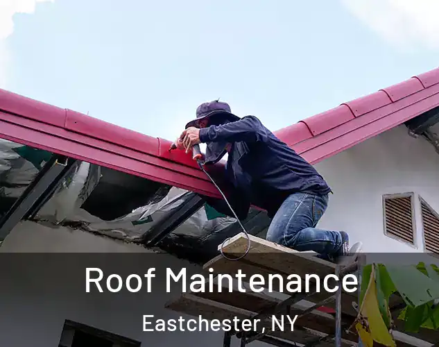  Roof Maintenance Eastchester, NY