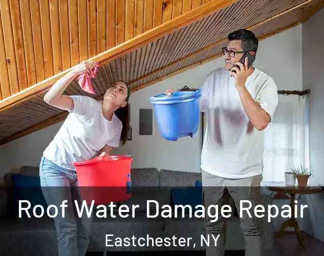  Roof Water Damage Repair Eastchester, NY
